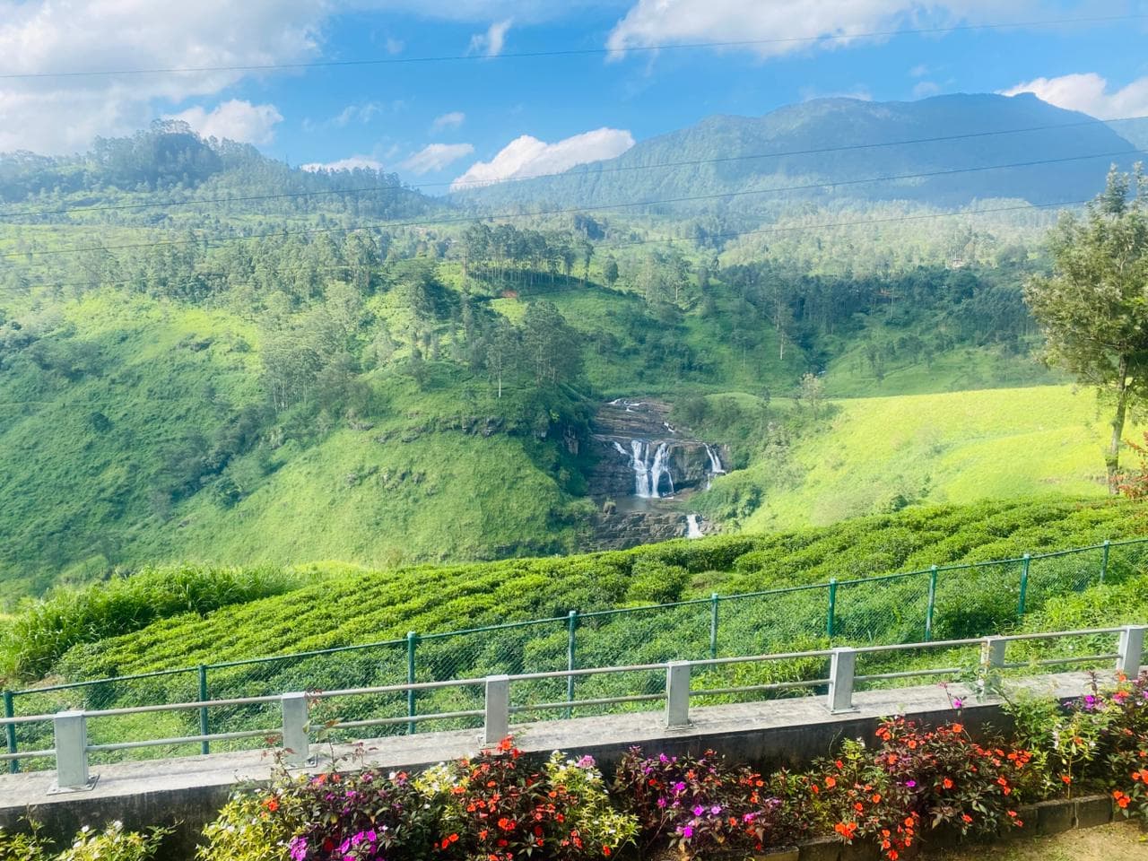 Lush green mountains of highland Nuwara Eliya