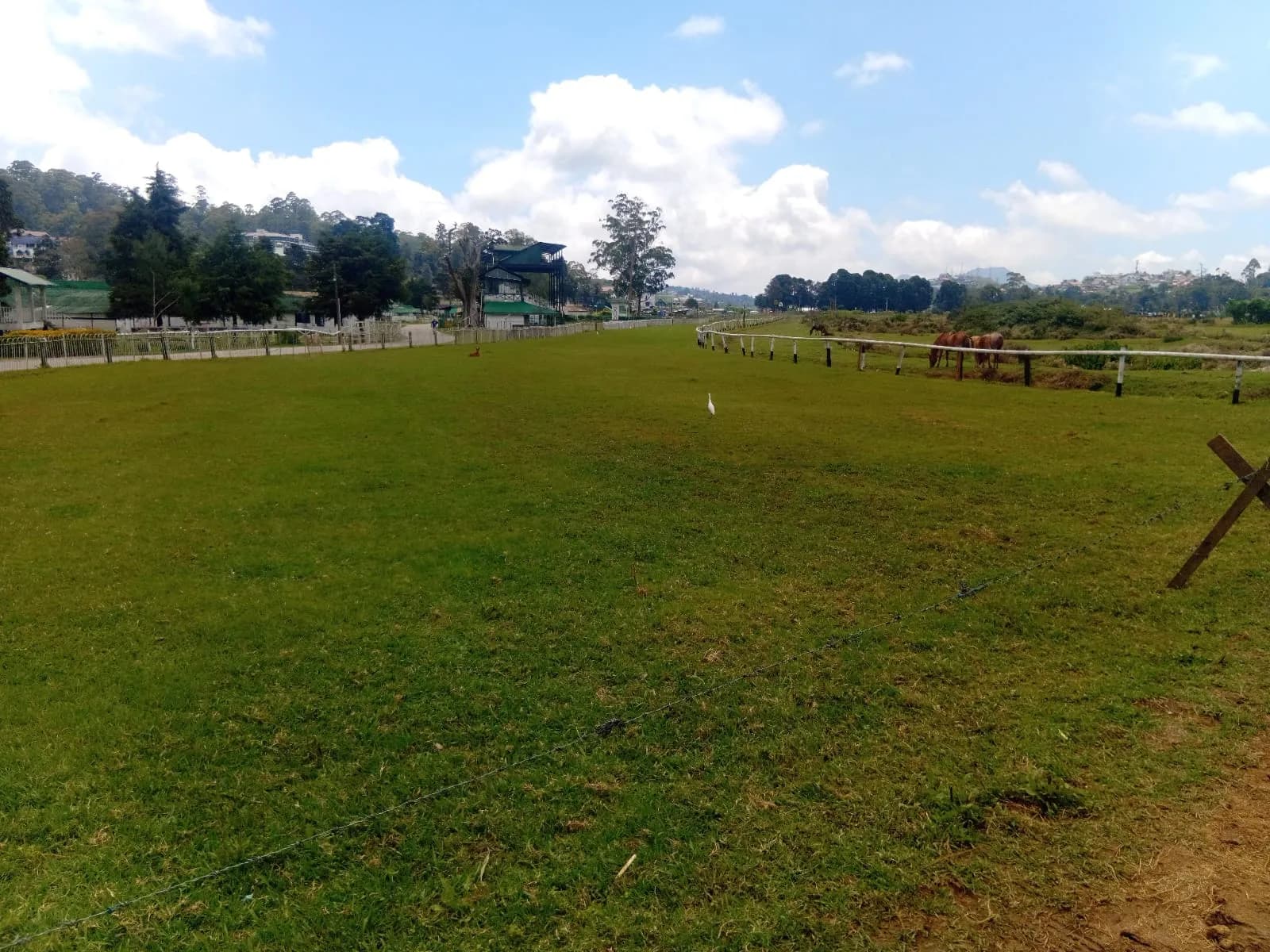 Race Course