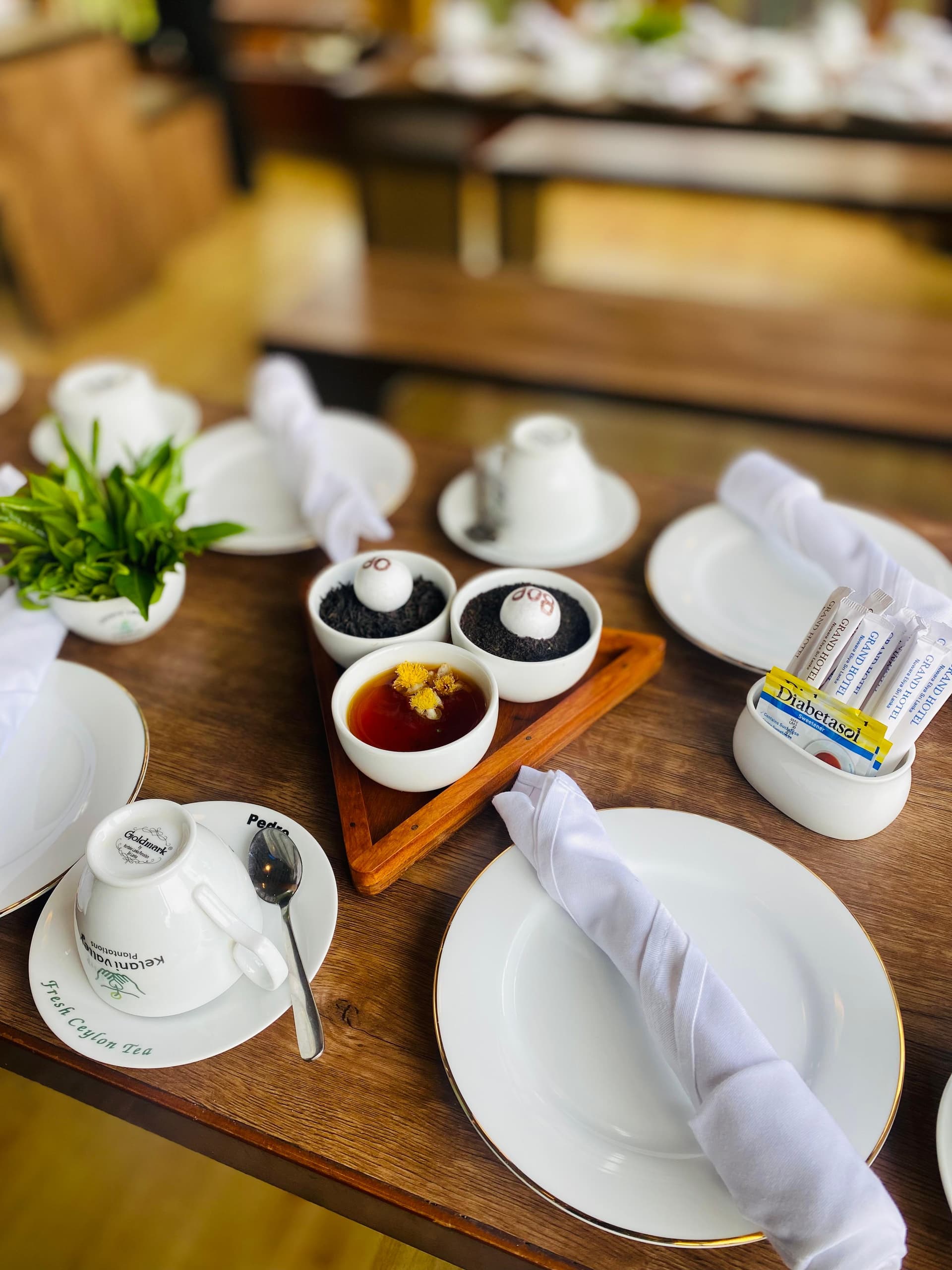 Tea Tasting Setting